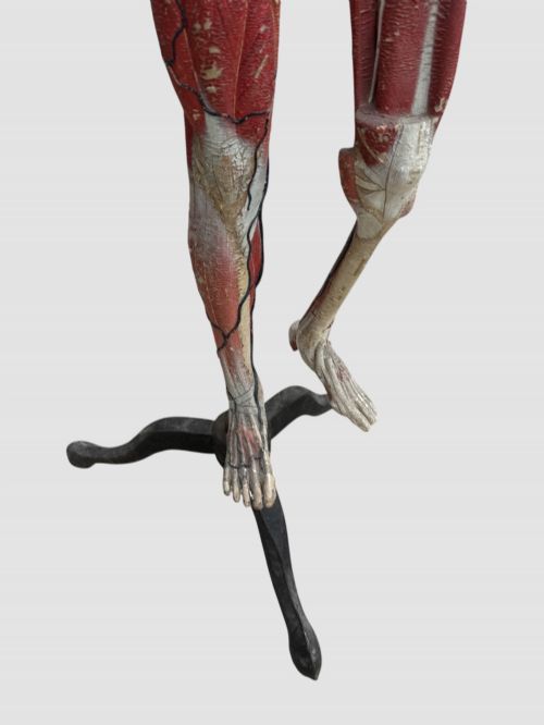 19TH CENTURY FRENCH ANATOMICAL MODEL ON STAND - ADDITIONAL PHOTO 8