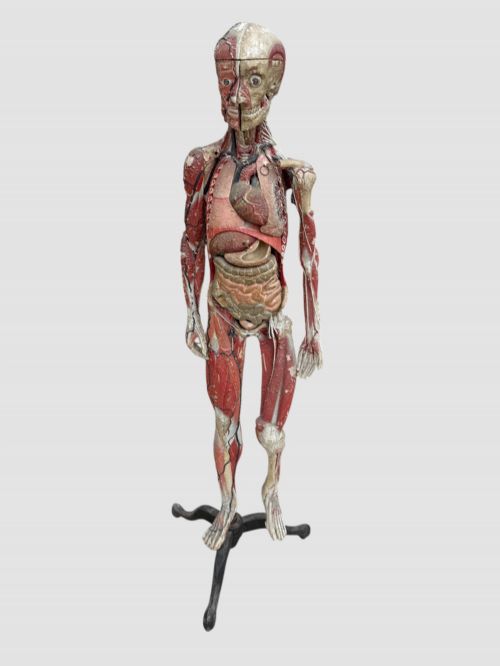 19TH CENTURY FRENCH ANATOMICAL MODEL ON STAND - ADDITIONAL PHOTO 10