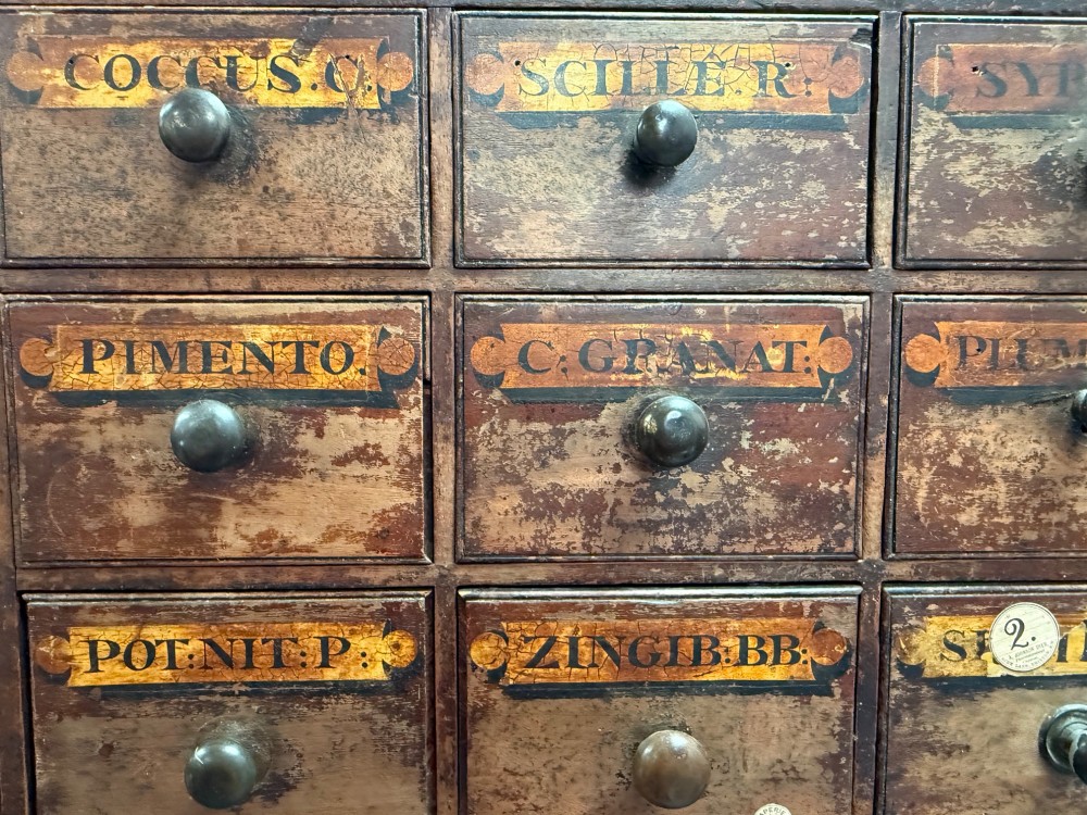 A 19th-century dark wood apothecary bank of drawers featuring twenty-six individual drawers with Latin botanical labels and turned knob handles. View VIII