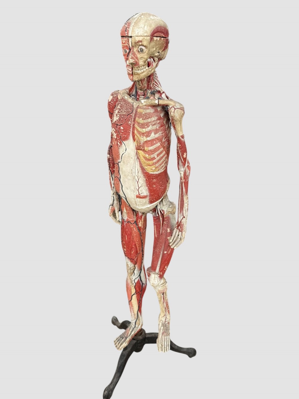 A 19th-century hand-painted French anatomical model depicting human musculature and internal structure mounted on a black cast iron tripod stand.