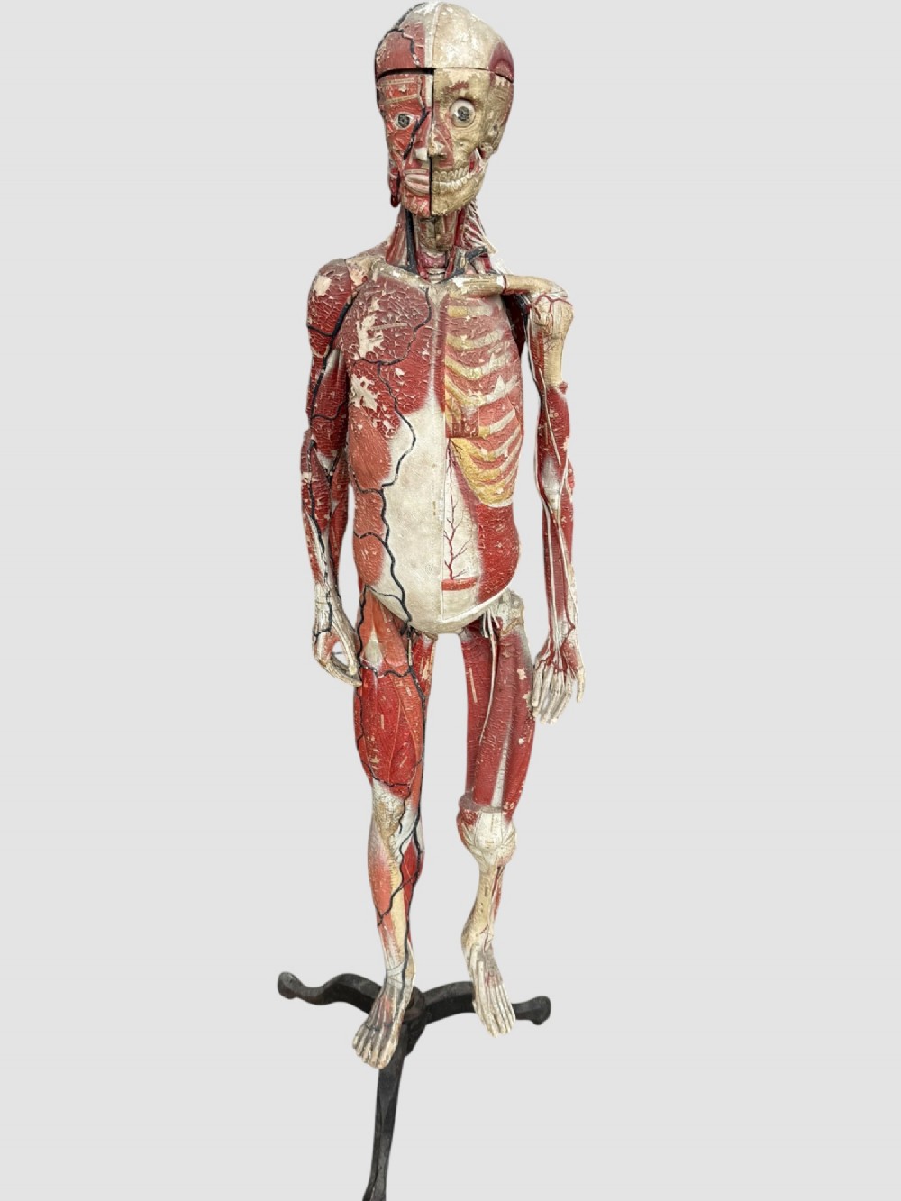 A 19th-century hand-painted French anatomical model depicting human musculature and internal structure mounted on a black cast iron tripod stand. View II