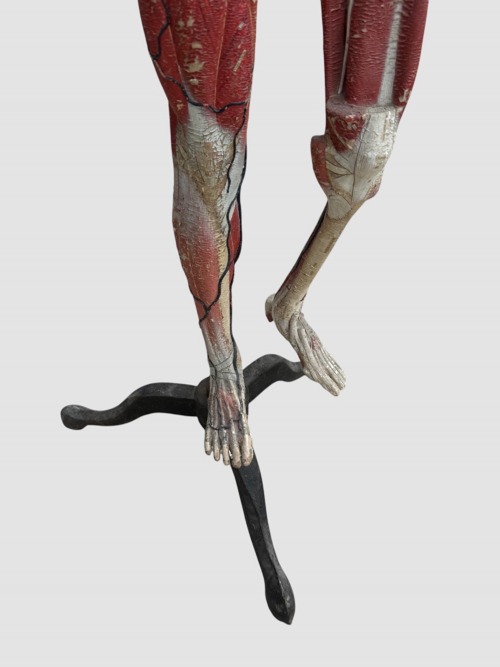 A 19th-century hand-painted French anatomical model depicting human musculature and internal structure mounted on a black cast iron tripod stand. View IX