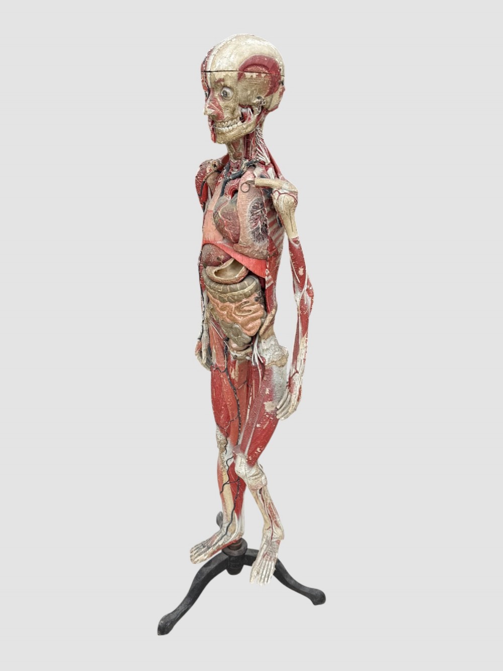 A 19th-century hand-painted French anatomical model depicting human musculature and internal structure mounted on a black cast iron tripod stand. View X