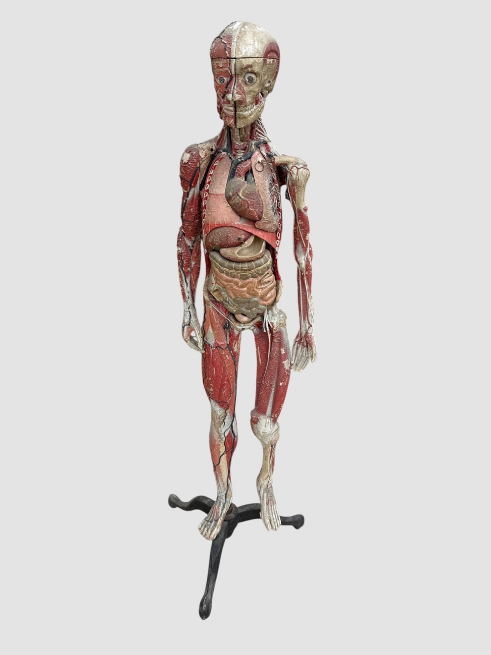 A 19th-century hand-painted French anatomical model depicting human musculature and internal structure mounted on a black cast iron tripod stand. View XI