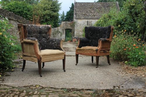 pair of edwardian barrel backs - CATEGORY: ANTIQUE CHAIRS - DATED EDWARDIAN