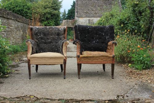 PAIR OF EDWARDIAN BARREL BACKS - ADDITIONAL PHOTO 1