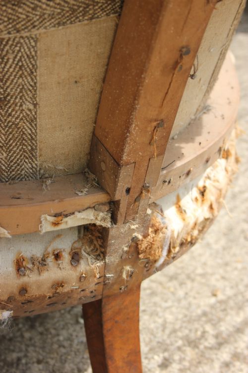 REGENCY LIBRARY CHAIR - ADDITIONAL PHOTO 2