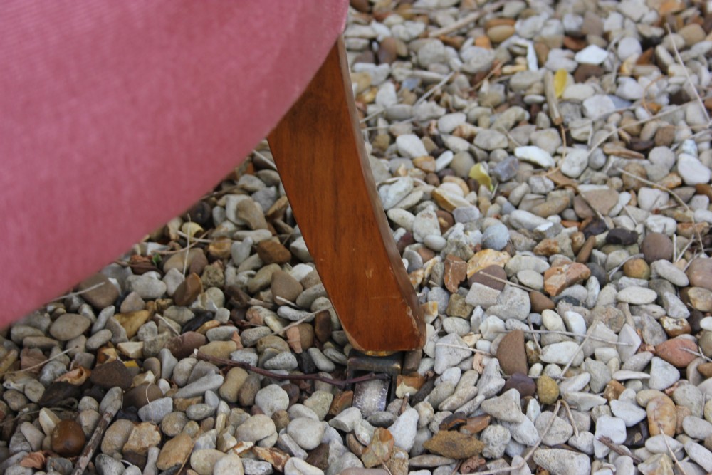 A Edwardian barrel back tub chair  View IV