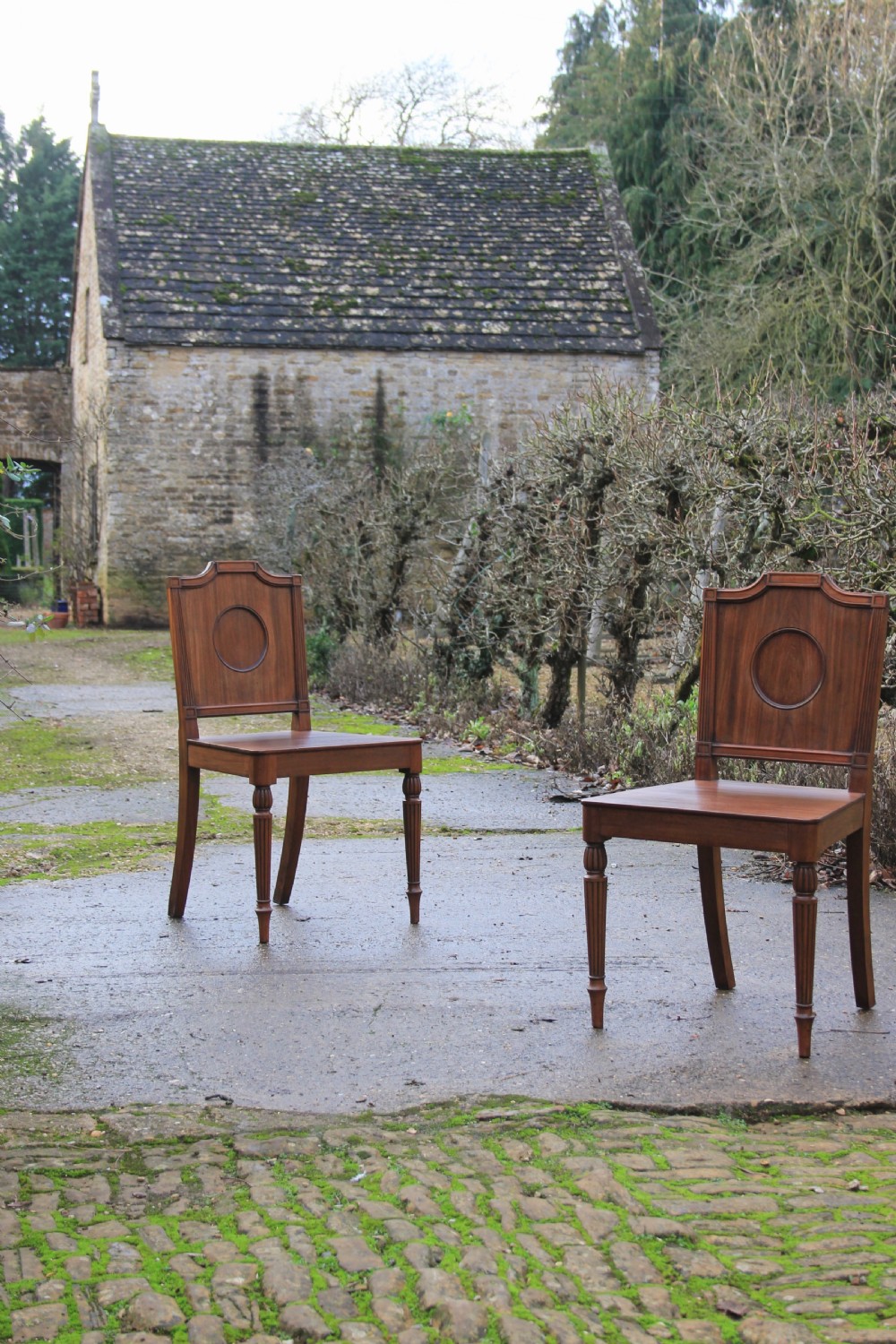 A pair of mahogany hall chairs featuring carved backrests with central circular mouldings, solid timber seats, and fluted turned front legs.