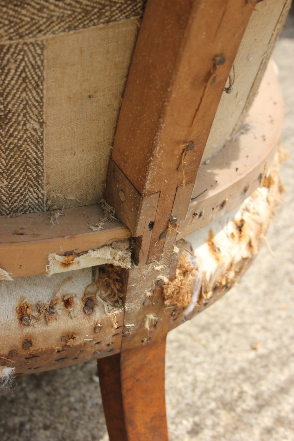 Regency library chair View III