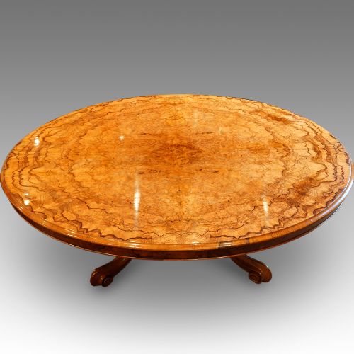 Victorian Burr Walnut Coffee Table