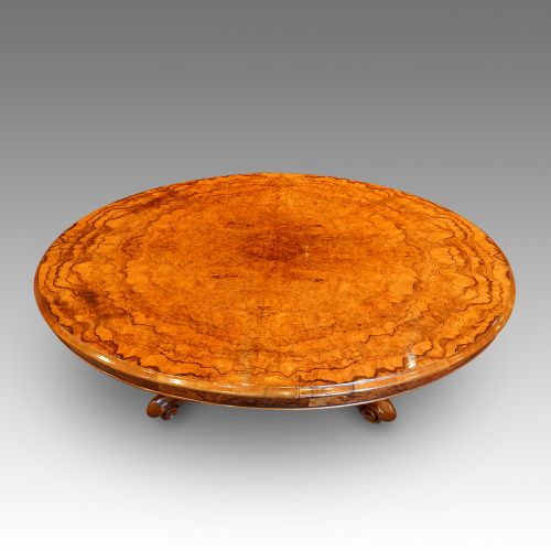 fig 7. Victorian burr walnut coffee table
