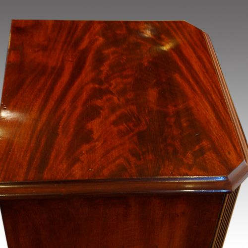 fig 2. Pair of Victorian mahogany chests
