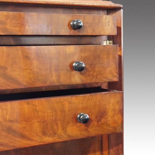 fig 5. Victorian mahogany Wellington chest