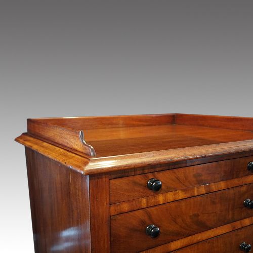 fig 6. Victorian mahogany Wellington chest