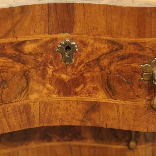 fig 3. Pair of 19thc. walnut Continental cabinets