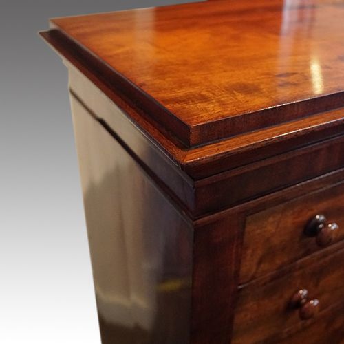 fig 5. Victorian mahogany Wellington chest