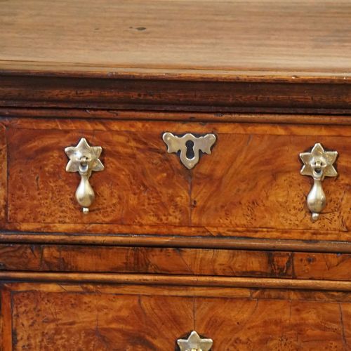 fig 3. Queen Anne oak and burr elm chest