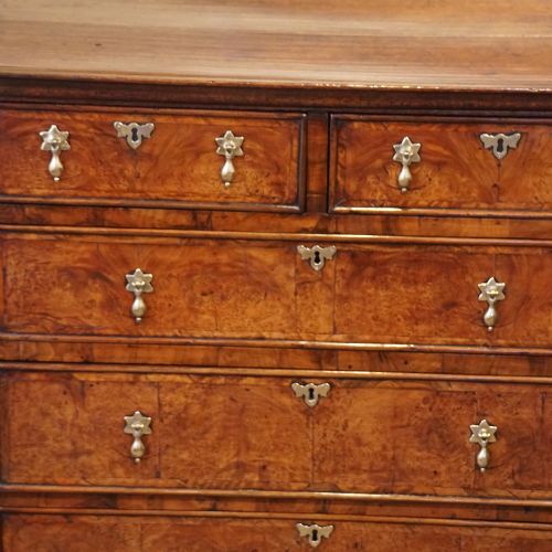 fig 5. Queen Anne oak and burr elm chest