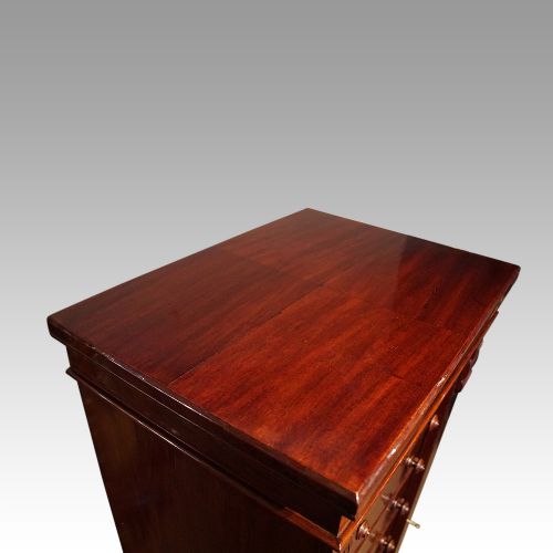 fig 5. Victorian mahogany Wellington chest