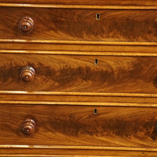 fig 6. William IV mahogany chest
