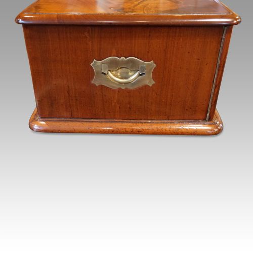 fig 1. Edwardian mahogany collectors cabinet