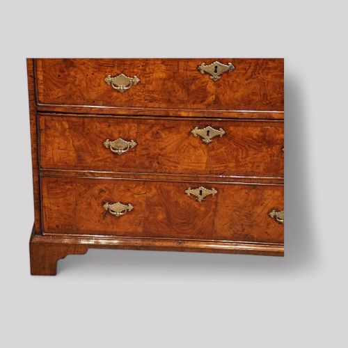 fig 1. George II burr elm chest