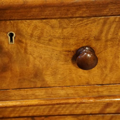 fig 11. Victorian burr walnut pedestal desk