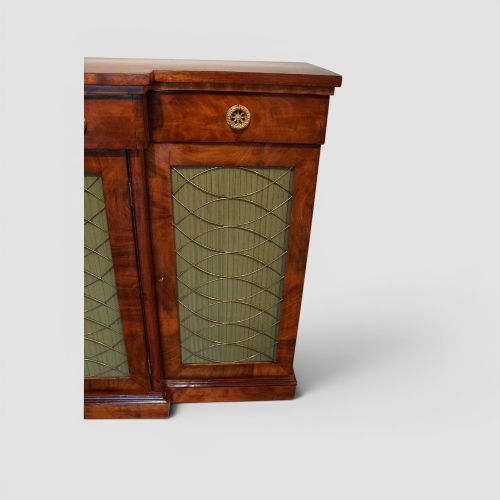 19TH CENTURY MAHOGANY BREAKFRONT SIDE CABINET - ADDITIONAL PHOTO 8