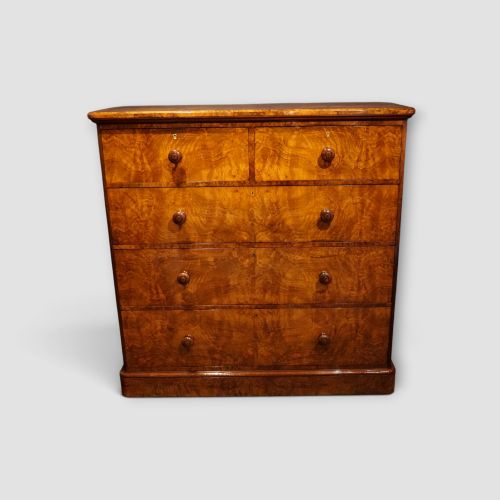 Victorian Burr Walnut Chest of Drawers with Turned Walnut Handles C.1860