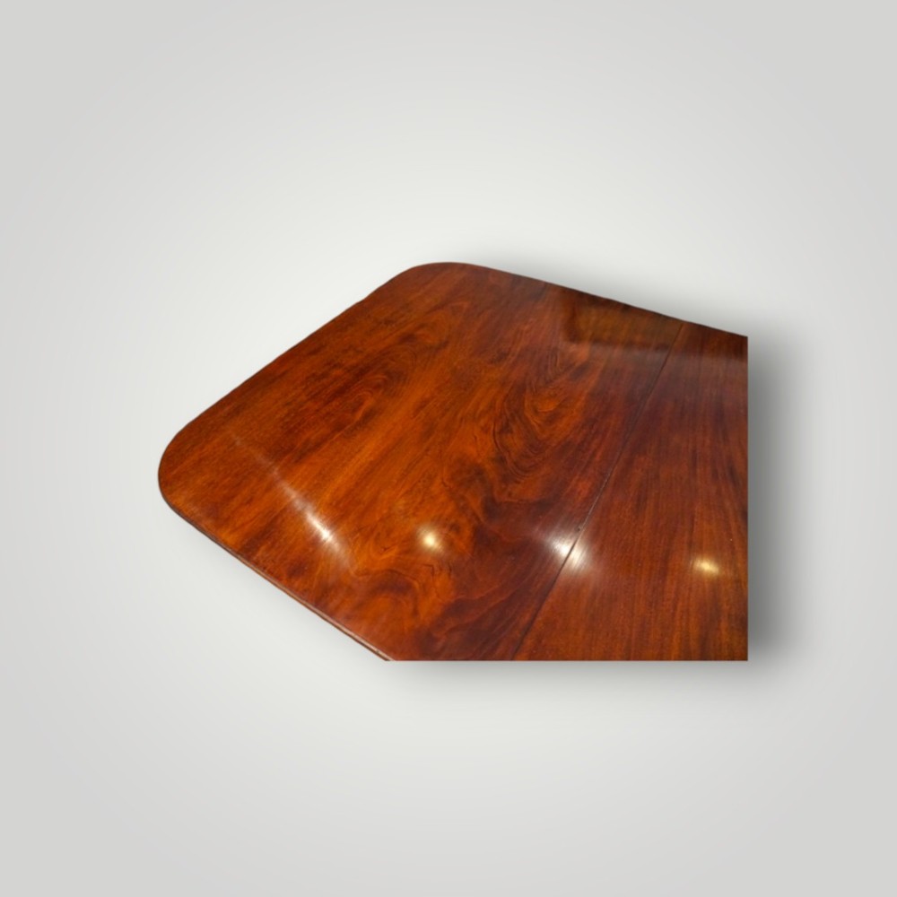 A polished mahogany twin pillar dining table featuring rounded corners, two turned central pedestals, and splayed legs resting on brass castors. View IX