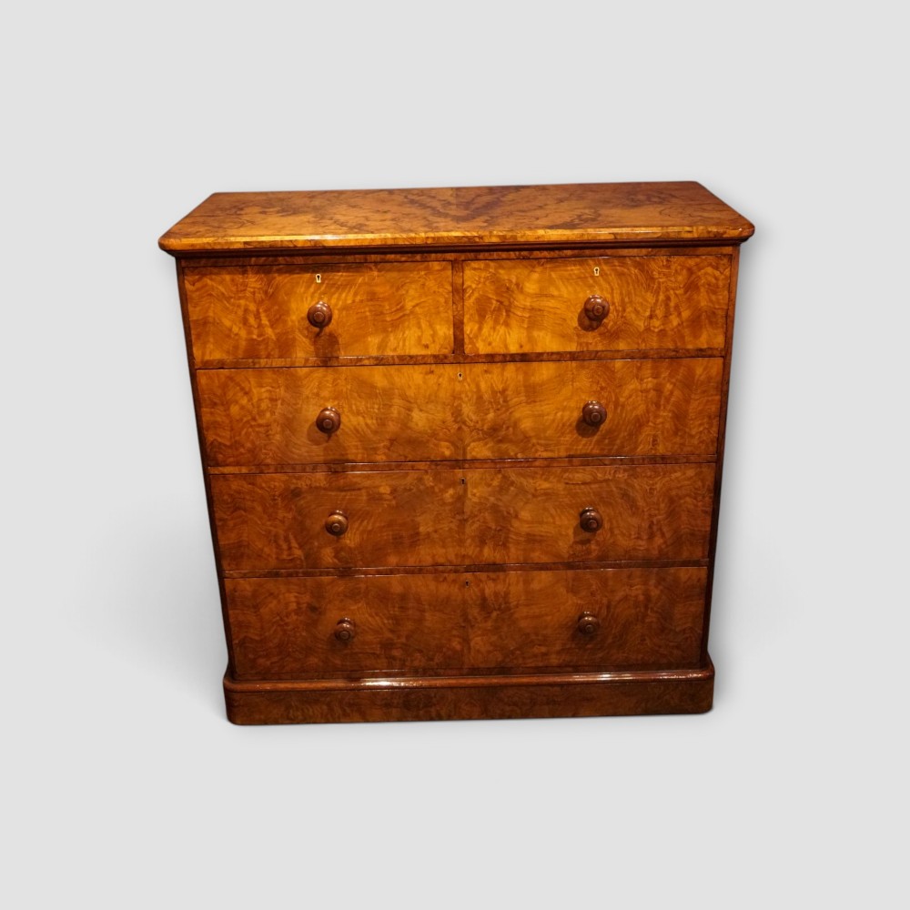 A Victorian burr walnut chest of drawers featuring two short drawers over three long drawers with turned walnut knobs and a plinth base. View IV