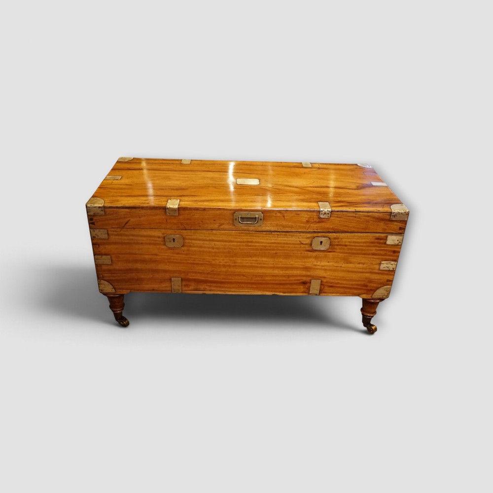 A low rectangular warm amber camphor wood campaign trunk featuring brass strap corners, flush brass handles, dual keyholes, and turned legs with castors.