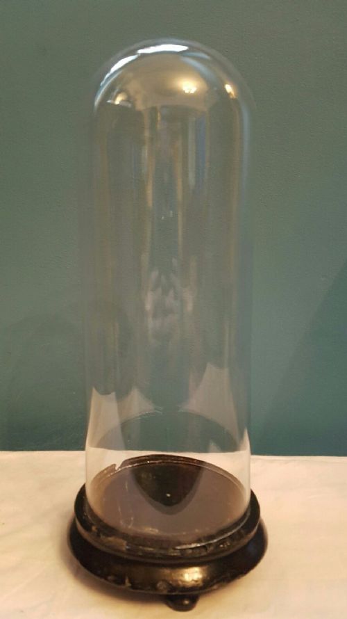 fig 1. French c1860 Small Round Glass Dome