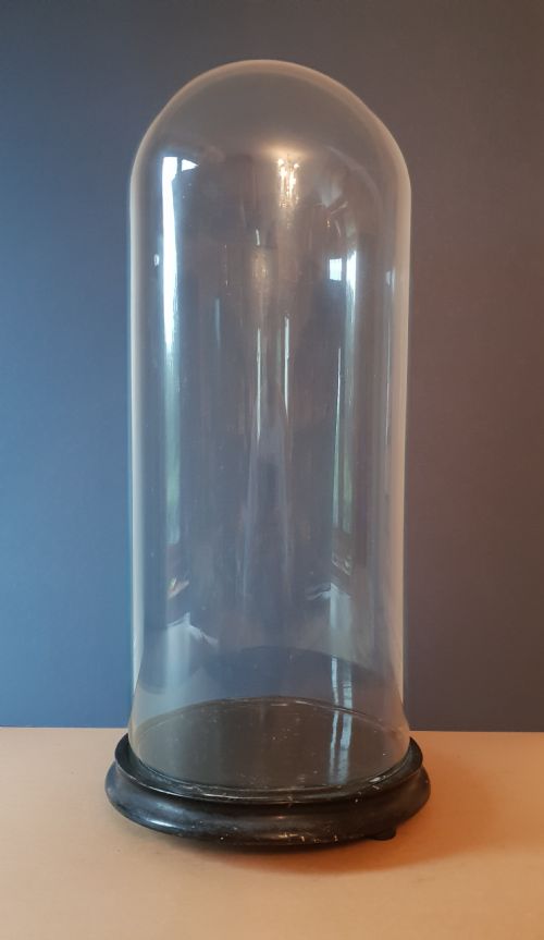 Large French Glass Display Dome, C1880
