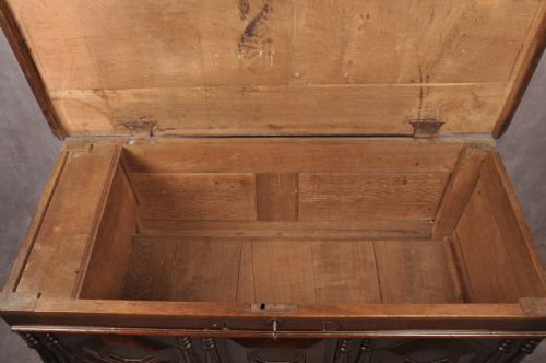17TH CENTURY OAK MULE KIST - ADDITIONAL PHOTO 10