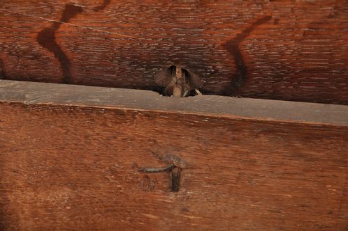 RARE 17TH CENTURY DORSET OAK COFFER - ADDITIONAL PHOTO 6