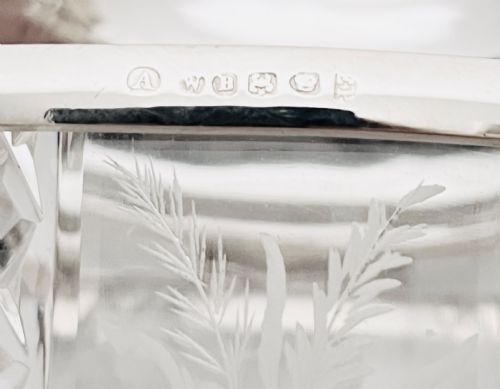 ANTIQUE SILVER PLATED AND CUT GLASS BISCUIT BOX C1880 - ADDITIONAL PHOTO 6