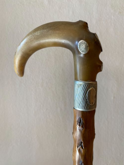 Horn Handled Walking Stick with White Metal Mounts