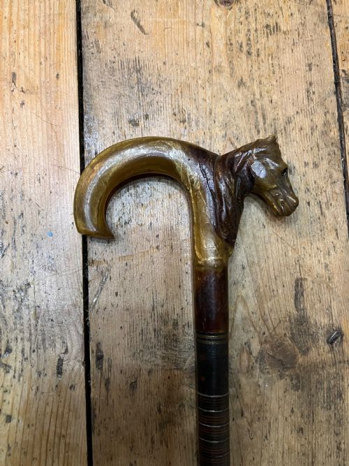 Horn Handles Walking Stick with Carved Horses Head