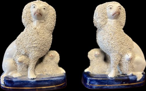 Pair of Staffordshire Pottery Poodles Sat with Their Puppies