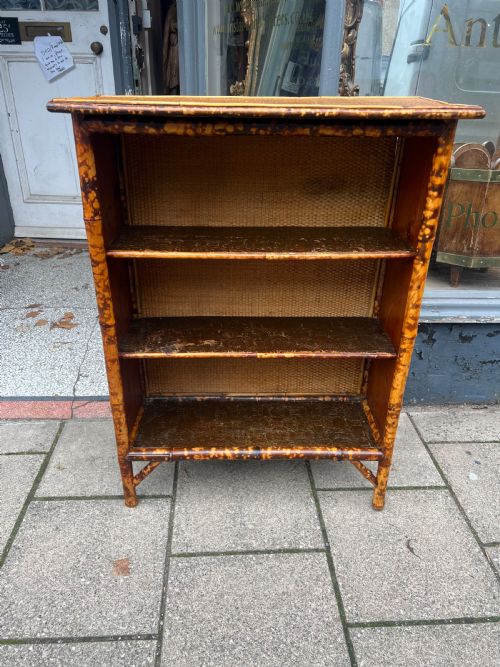C19th Bamboo Bookcase