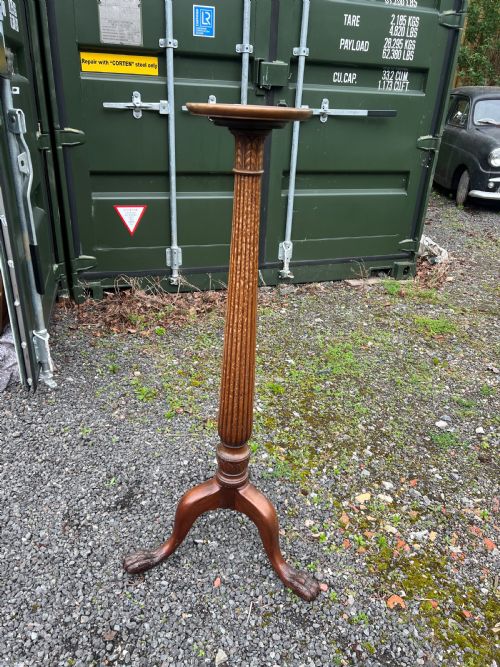 C19TH TRIPOD BASED BUSTPLANT STAND - ADDITIONAL PHOTO 6