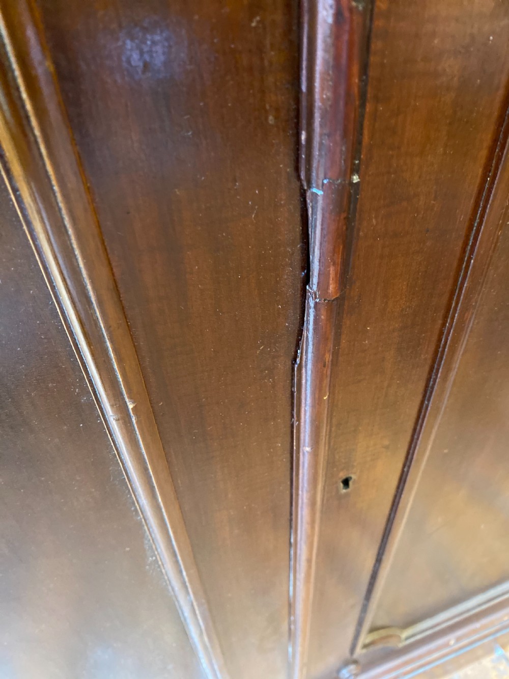 C19th library bookcase  View XI