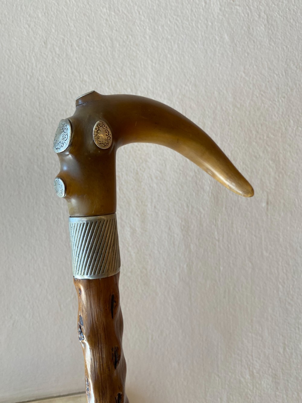 Horn handled walking stick with white metal mounts  View IV