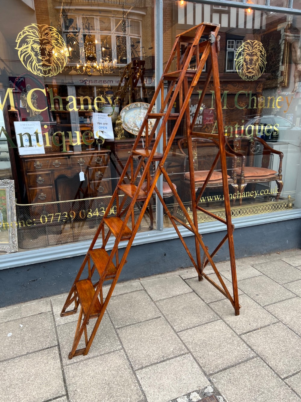 A tall Hatherley Jones patent lattice step ladder View II