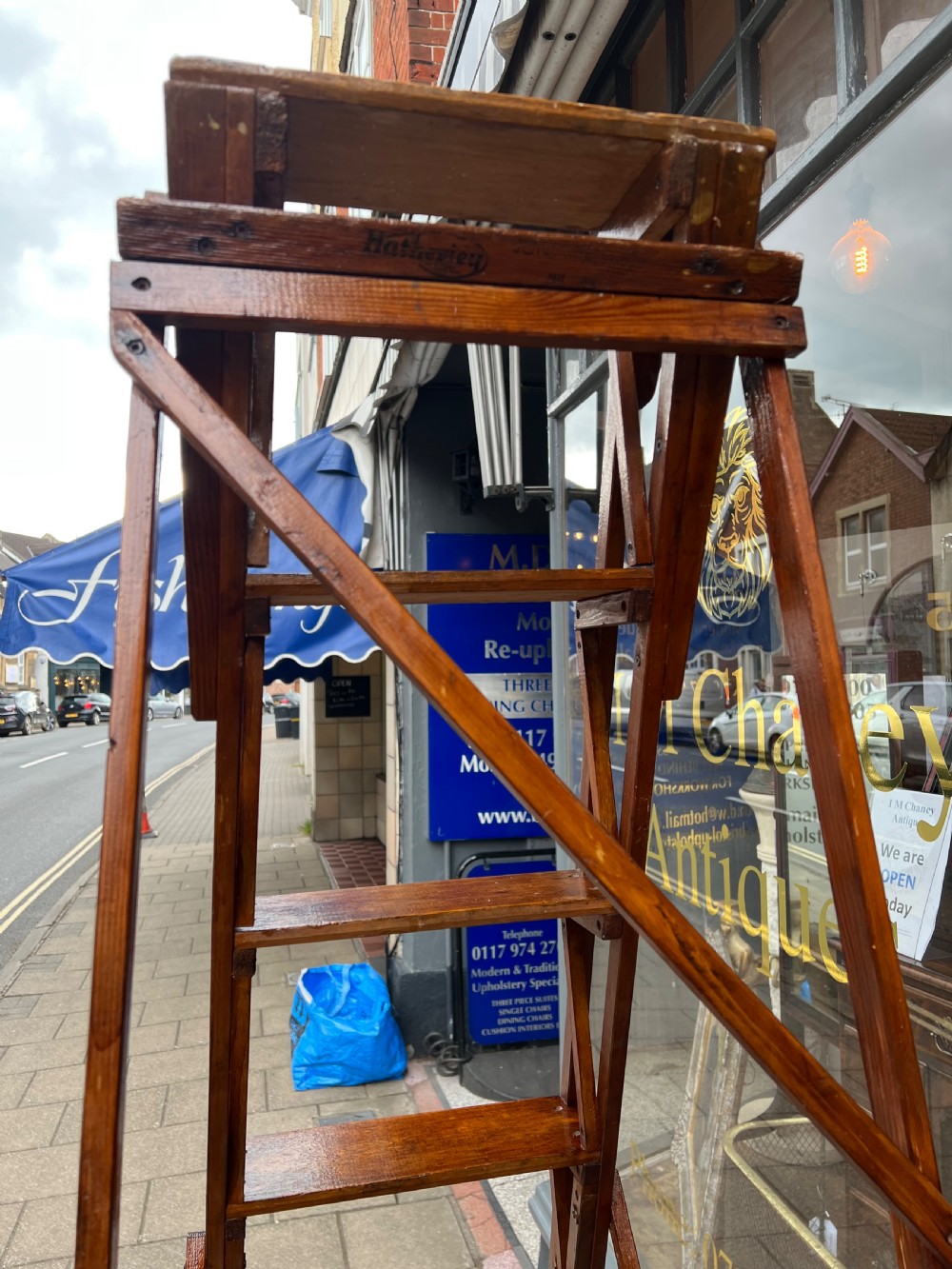 A tall Hatherley Jones patent lattice step ladder View III