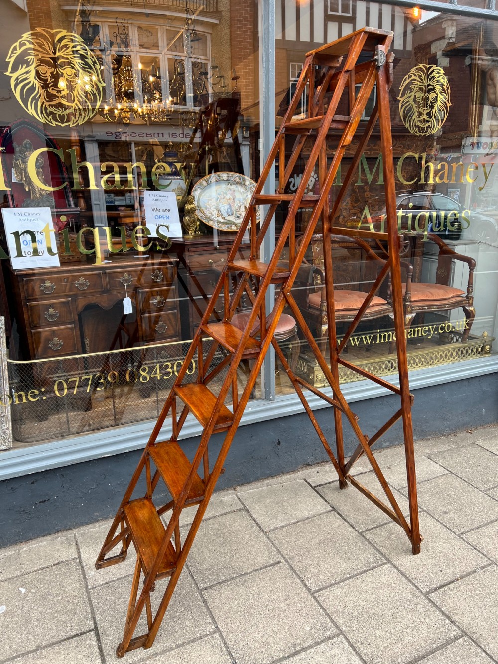 A tall Hatherley Jones patent lattice step ladder View V
