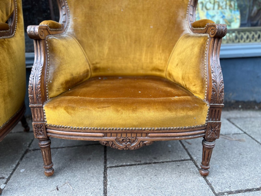 Pair of French fauteuils  View IX