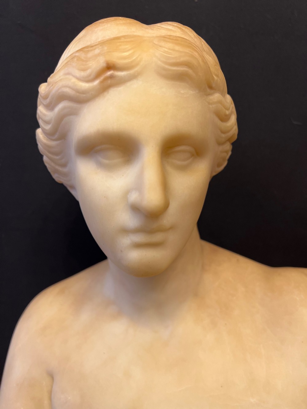 C19th Alabaster bust of Venus  View III